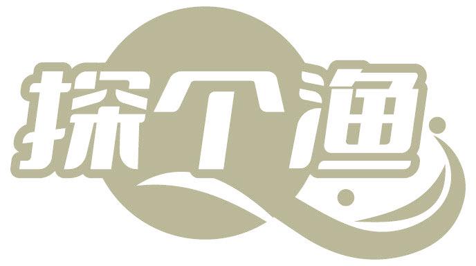 探个渔