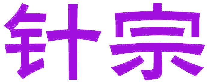 针宗
