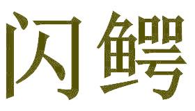 闪鳄