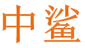 中鲨
