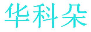 华科朵