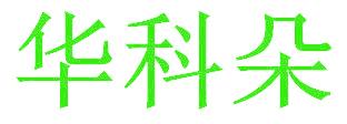 华科朵