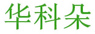 华科朵
