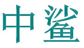 中鲨