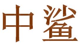 中鯊