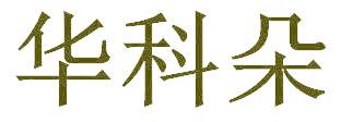 华科朵