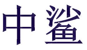中鲨