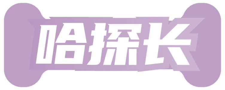 哈探长