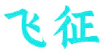 飞征