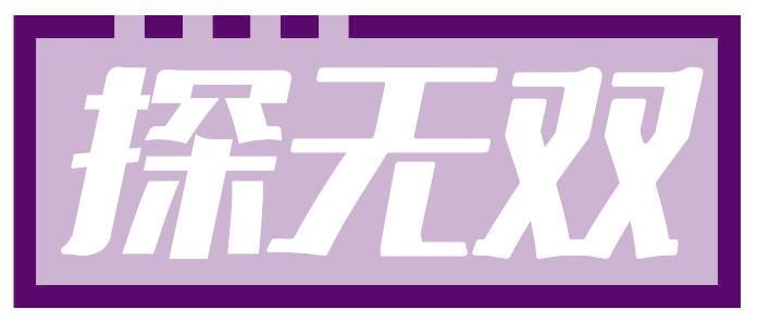 探无双