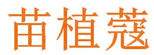 苗植蔻