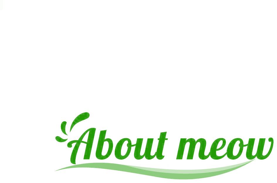 ABOUT MEOW