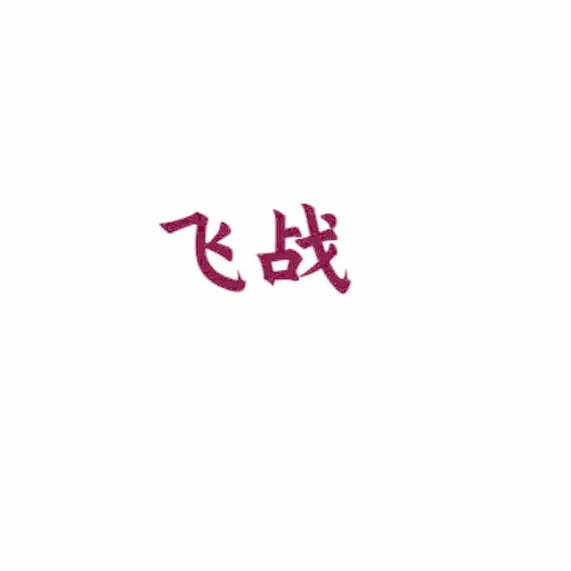 飞战