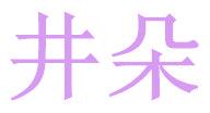 井朵