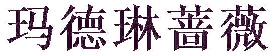 玛德琳蔷薇