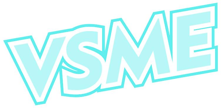 VSME