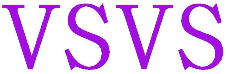 VSVS