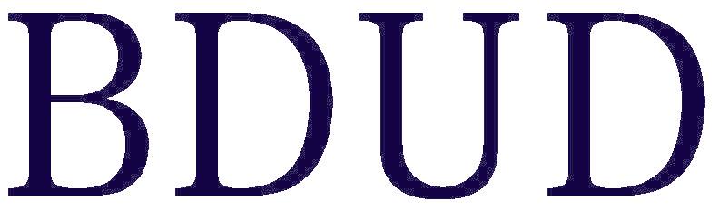 BDUD