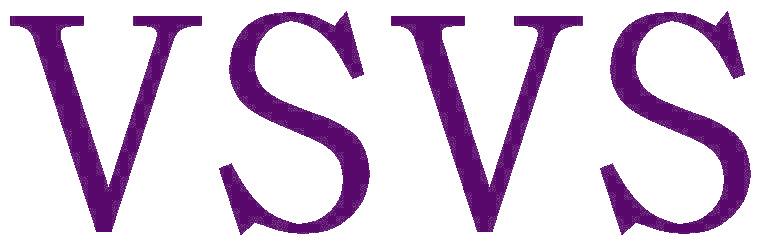 VSVS