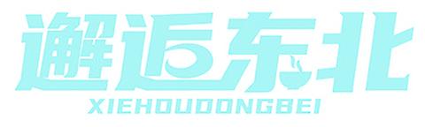 邂逅东北
