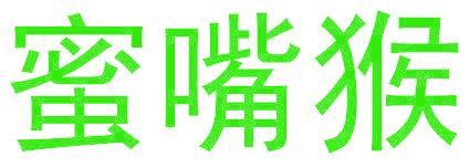 蜜嘴猴