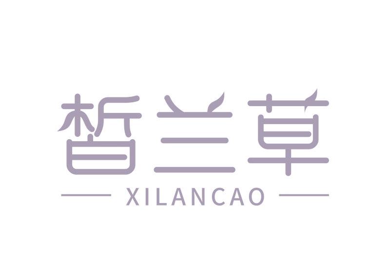 皙兰草
