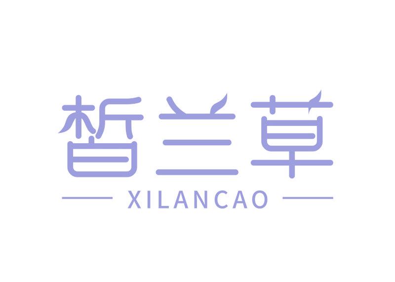 皙兰草