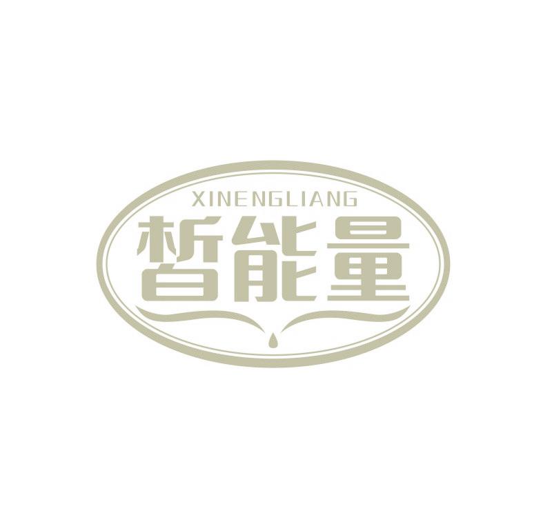 皙能量