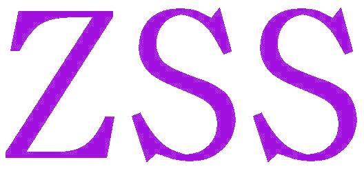 ZSS