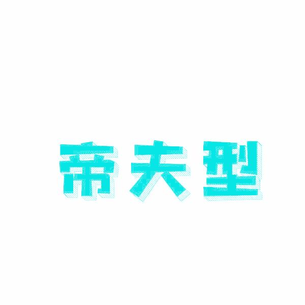 帝夫型
