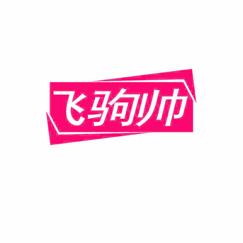 飞驹帅