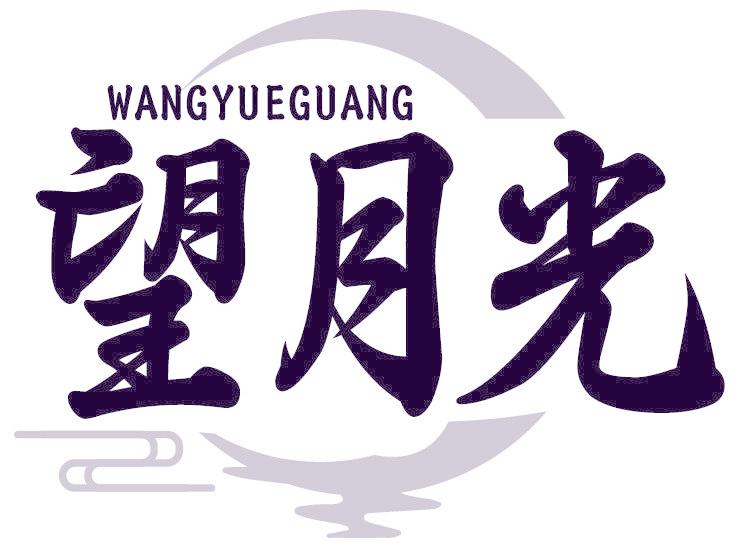 望月光