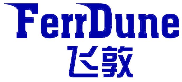 FERRDUNE 飞敦