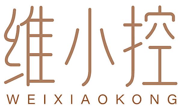 维小控