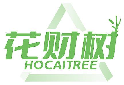 花财树 HOCAITREE