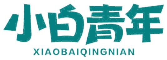 小白青年