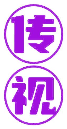 传视