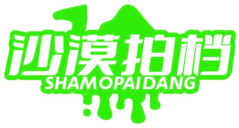 沙漠拍档