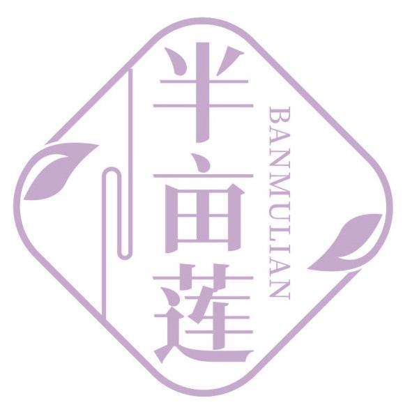 半亩莲