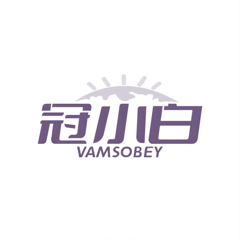 冠小白 VAMSOBEY