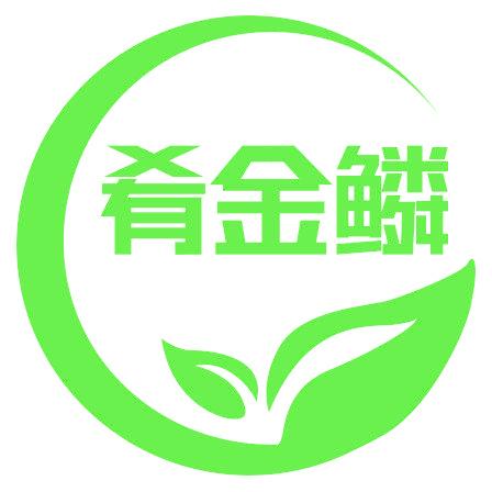 肴金鳞