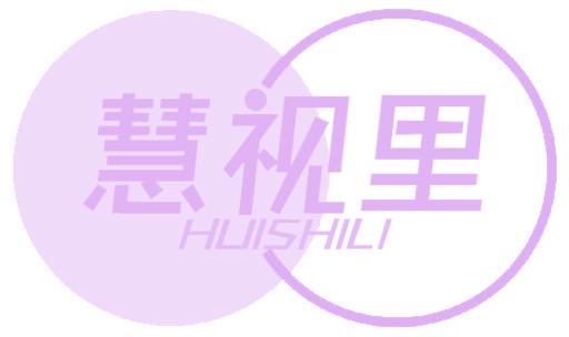 慧视里