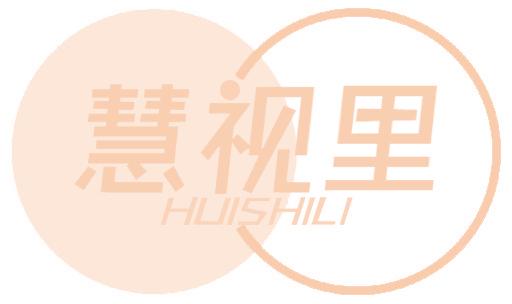 慧视里