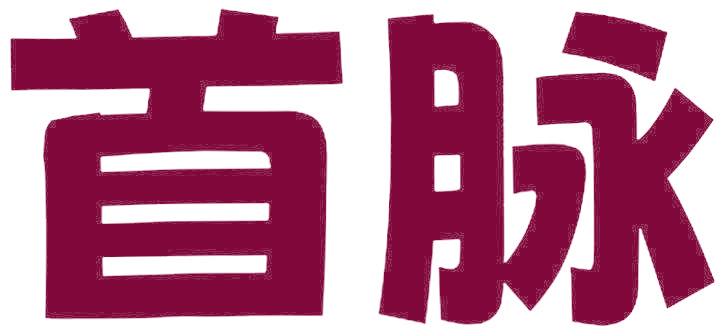 首脉