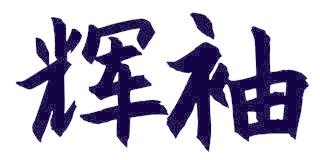 辉袖