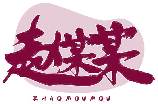 赵某某