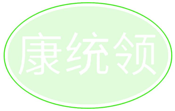 康統(tǒng)領