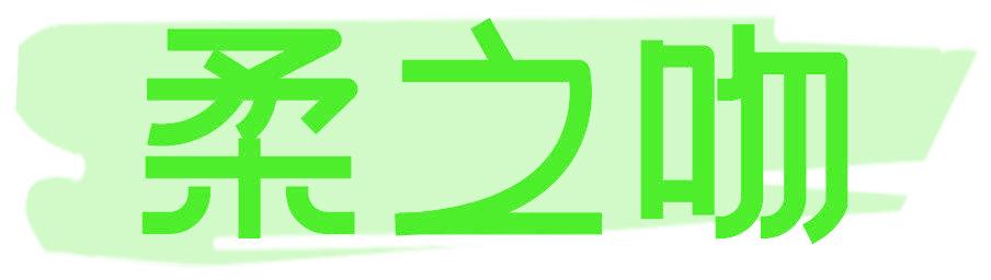 柔之吻