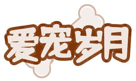 爱宠岁月