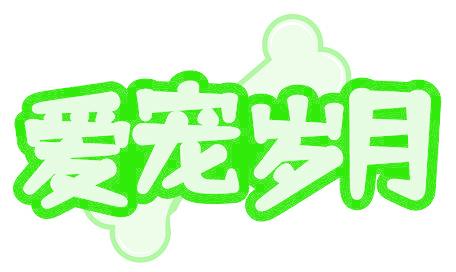 爱宠岁月